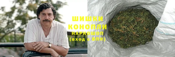 крисы Верея