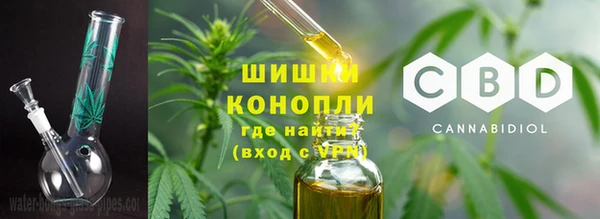крисы Верея