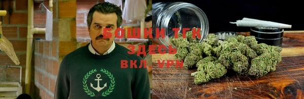 крисы Верея