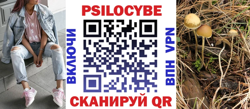 Псилоцибиновые грибы Psilocybine cubensis  Белогорск 